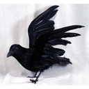 CROW 10&quot; FLYING FEATHER