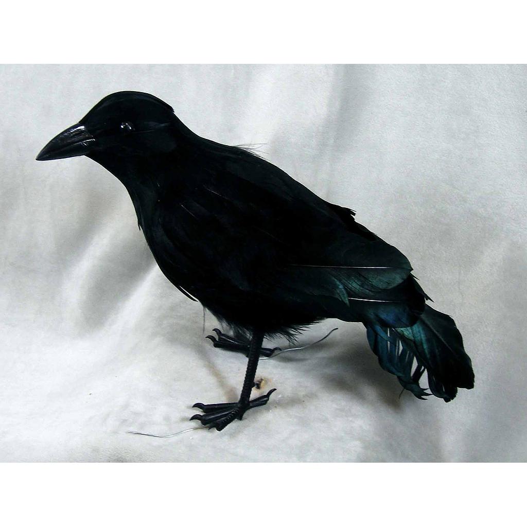 [B66045] 10" CROW STANDING FEATHER