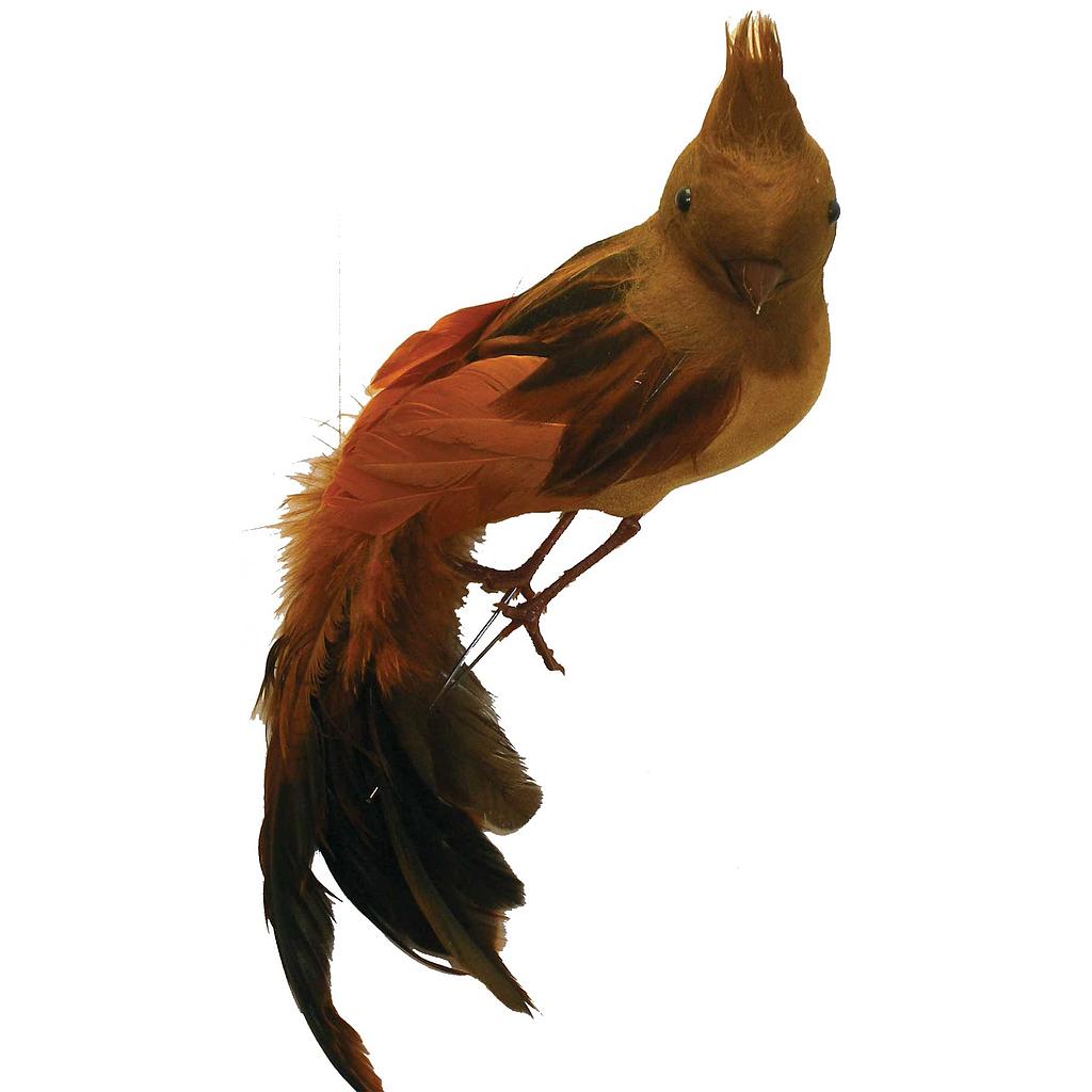 [B66561-BRN] 10" FEA/FLK LONG TAIL BIRD BRN W/FEA CROWN