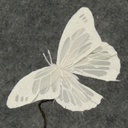 6&quot; WHITE BUTTERFLY W/MICA 6/BOX