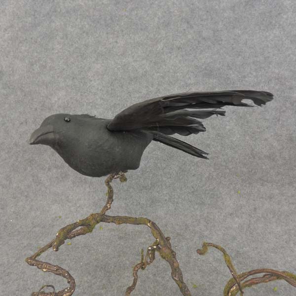 [B6765] 10" CROW FLOCK/FEATHER W/CLIP