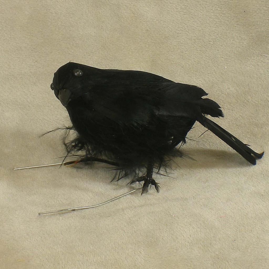[B79705-N] 4" CROW FEATHERED