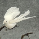 6&quot; FLOCKED WHITE DOVE WITH A CLIP