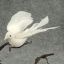 6" FLOCKED WHITE DOVE WITH A CLIP
