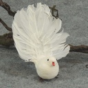 5" OPEN TAIL DOVE  WHITE