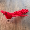 21" FLYING DOVE WITH LONG FEATHER TAIL  RED