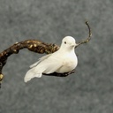 2" DOVE MUSHRM/FEA W/CLIP WHITE