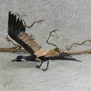 12" X 22" FLYING CANADIAN GOOSE