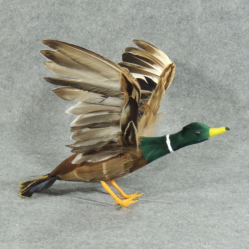 [B247-I] 12" x 22" FLYING MALLARD DUCK   (INDIVIDUAL)