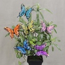 4" SWALLOW TAIL BUTTERFLY 6-ASST' D W/CLIP