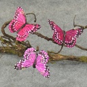 BUTTERFLY 3.25" 3 SHADES ASST'D PURPLE ASST W/CLI W/CLP