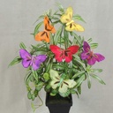 BUTTERFLY 3.5&quot; 6-ASST'D W/GLIT W/CLIP