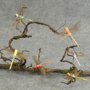 DRAGONFLY W/WIRE 3.25" X 4.25" 6-ASST