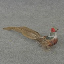 12&quot; SITTING PHEASANT WITH FEATHERS (INDIVIDUAL)
