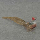 12" SITTING PHEASANT WITH FEATHERS (INDIVIDUAL)