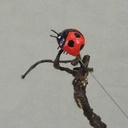 1" LADYBUG RED W/WIRE