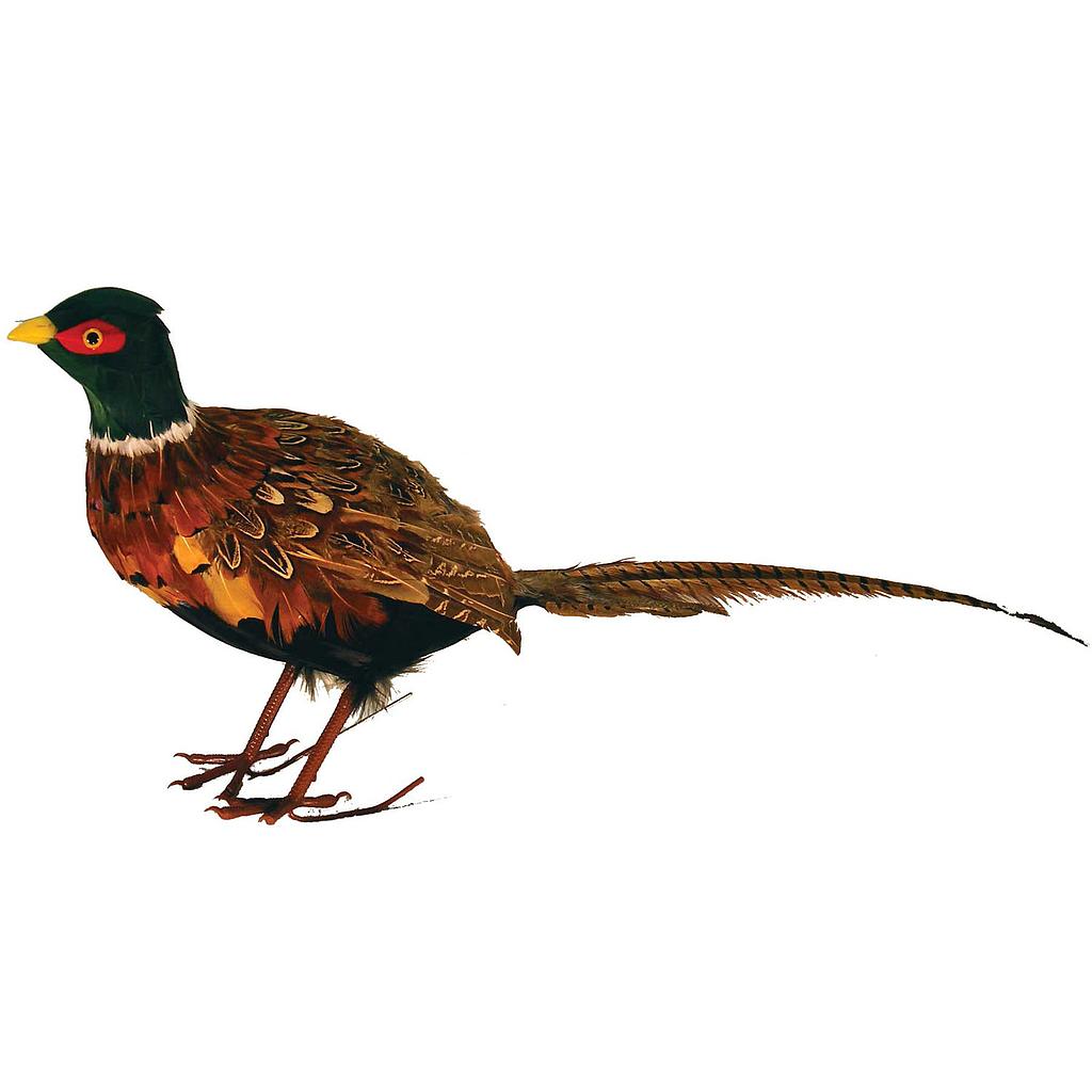 30" STANDING PHEASANT WITH FEATHERS