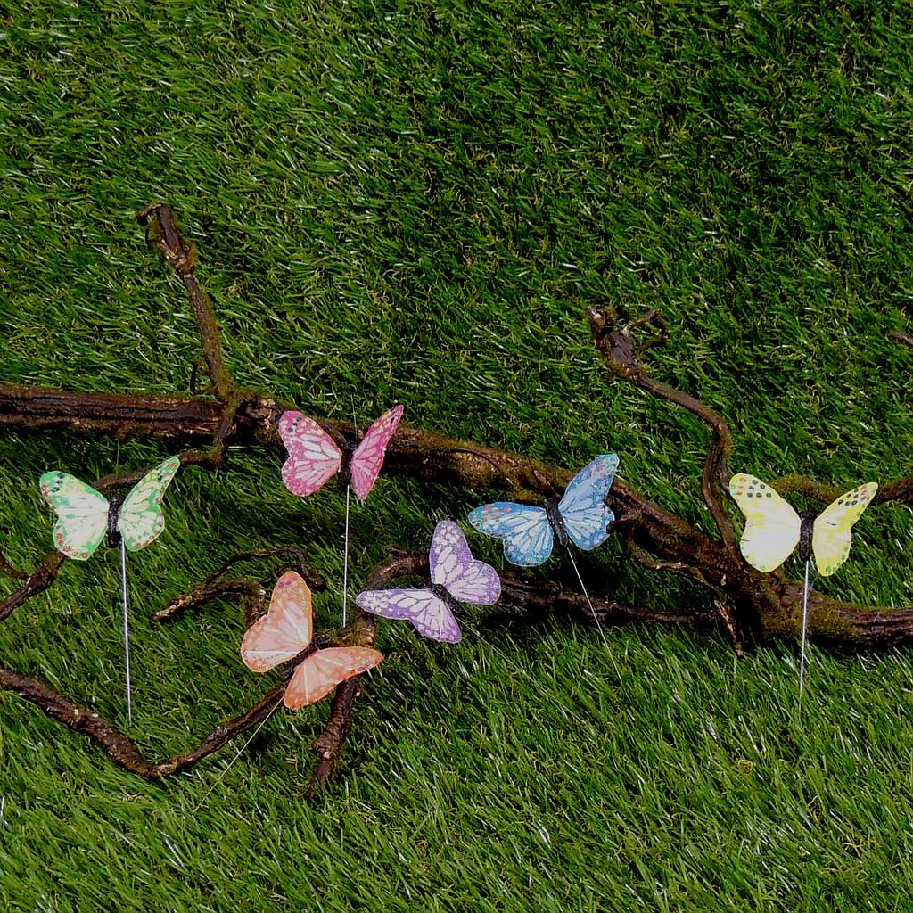 BUTTERFLY 2.5" 6 ASST'D W/WIRE  MEDIUYM