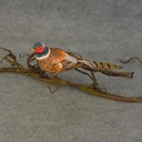 10" PHEASANT MUSHRM/FEA W/CLIP