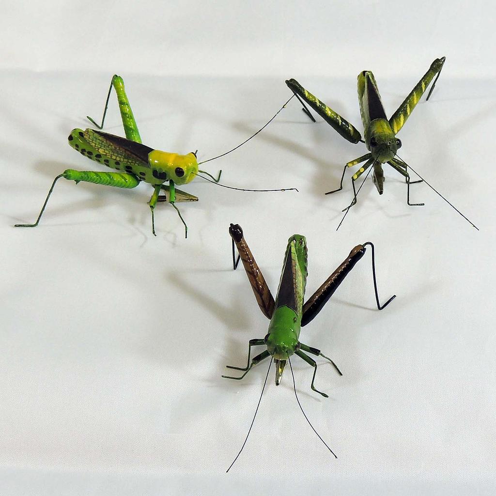 3" GRASSHOPPER 3-ASSORTED W/CLIP
