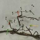 DRAGONFLY 2.5"L X 3.75"W 6-ASST W/CLIP