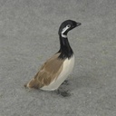 5" GOOSE CANADIAN FEATHERED