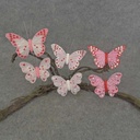 BUTTERFLY 6-ASST 3.5"& 4" CLIP FEATHER/HEARTS