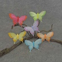 BUTTERFLY 4.5" FEATHER 6 ASST W/CLIP