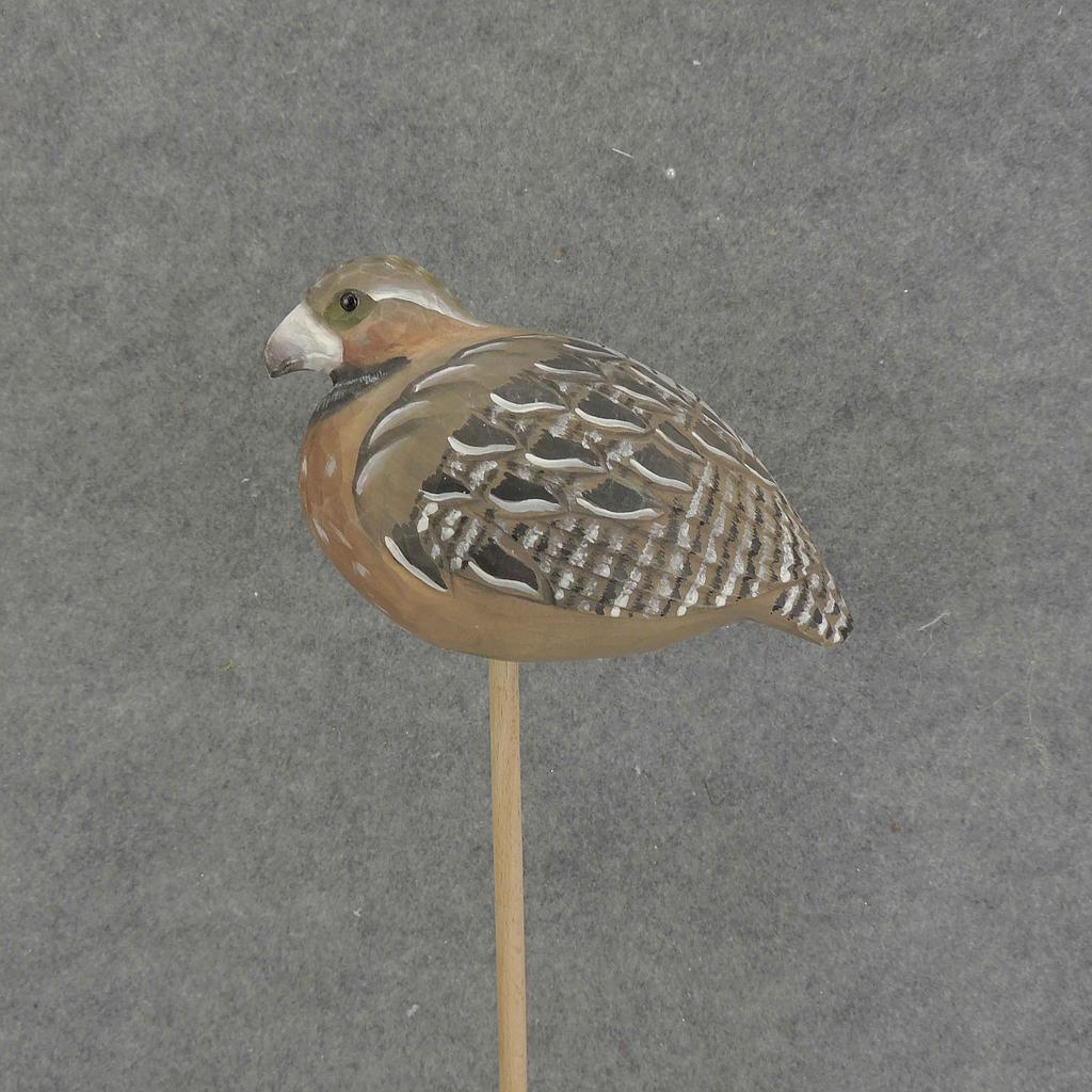[BA6205] BOBWHITE QUAIL 7" x 5" WOOD