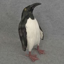 12&quot; FEATHERED PENGUIN