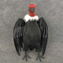 15"HEAD UP VULTURE W/RED NECK