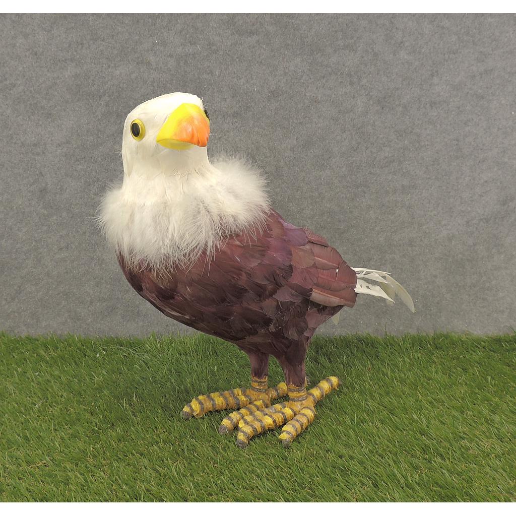 [B66514] 17" EAGLE FEATHERED