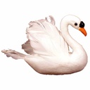 4.5" SWAN FLOCKED W/FEATHERS