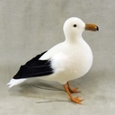 SEAGULL 7.5"T x 10" FEA/FLOCKED STANDING