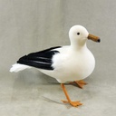 SEAGULL 9.5"T x 13" FEA/FLOCKED STANDING