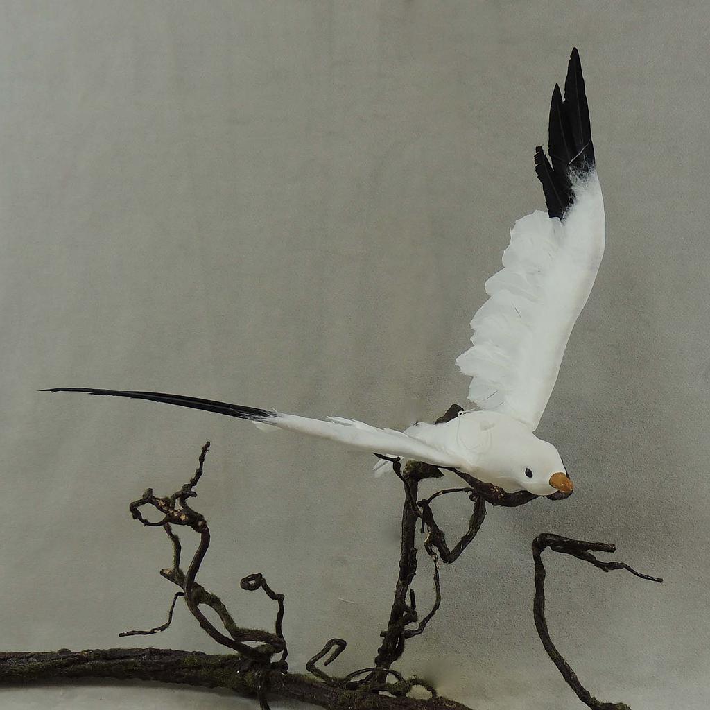 [B66720] SEAGULL 9.5" x 18" FEA/FLOCKED