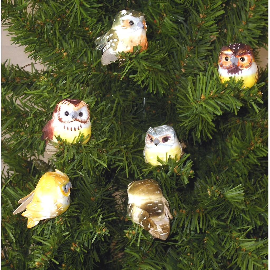 [B6697] 2.5" OWL W/CLIP 6-ASST' D