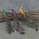 PEACOCK 12" GLITTER 3 ASST MARDI GRAS