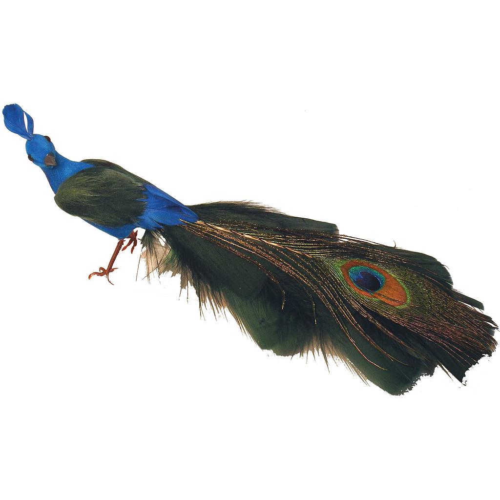 PEACOCK 8&quot; CLOSED TAIL PEACOCK W/CLIP