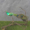 13" PEACOCK GLITTER/SEQUINw/CLP GREEN