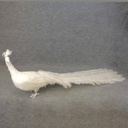 PEACOCK 60" CLOSE TAIL FEATHERED