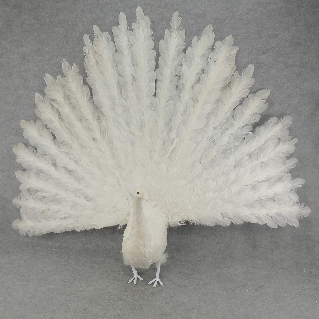 [B975WHT] 60" PEACOCK OPEN TAIL FEATHERED
