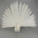 60" PEACOCK OPEN TAIL FEATHERED