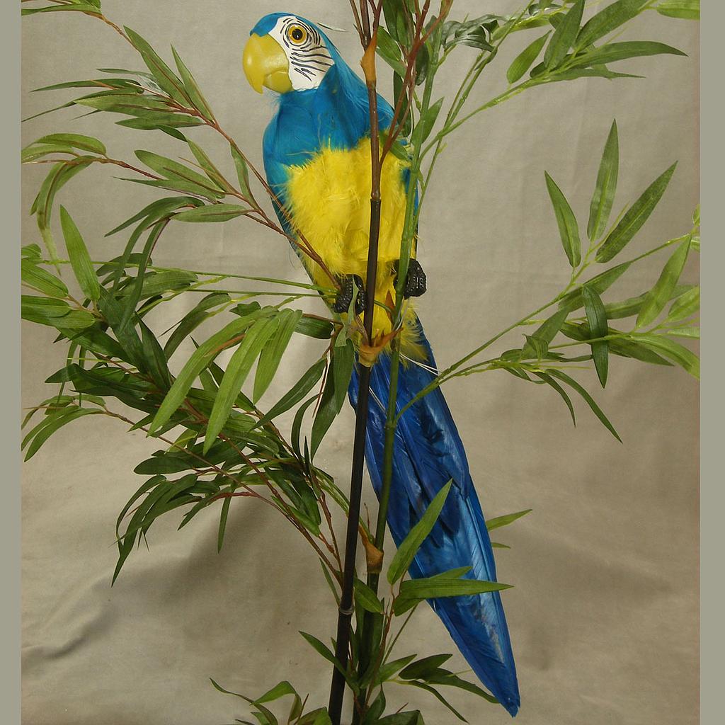 [B201-BLU] 20" BLUE PARROT