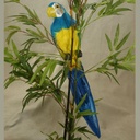 20" BLUE PARROT