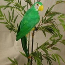 20" GREEN PARROT