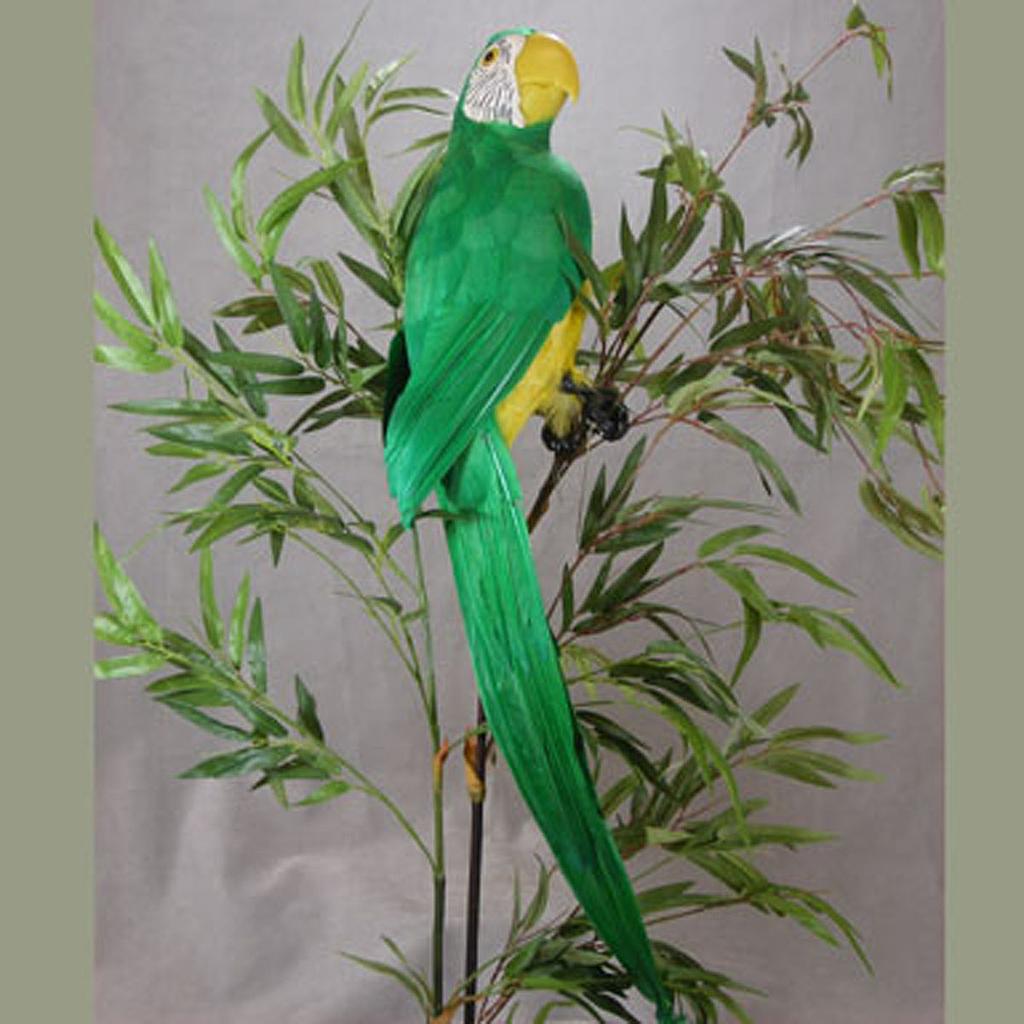 28" PARROT GREEN