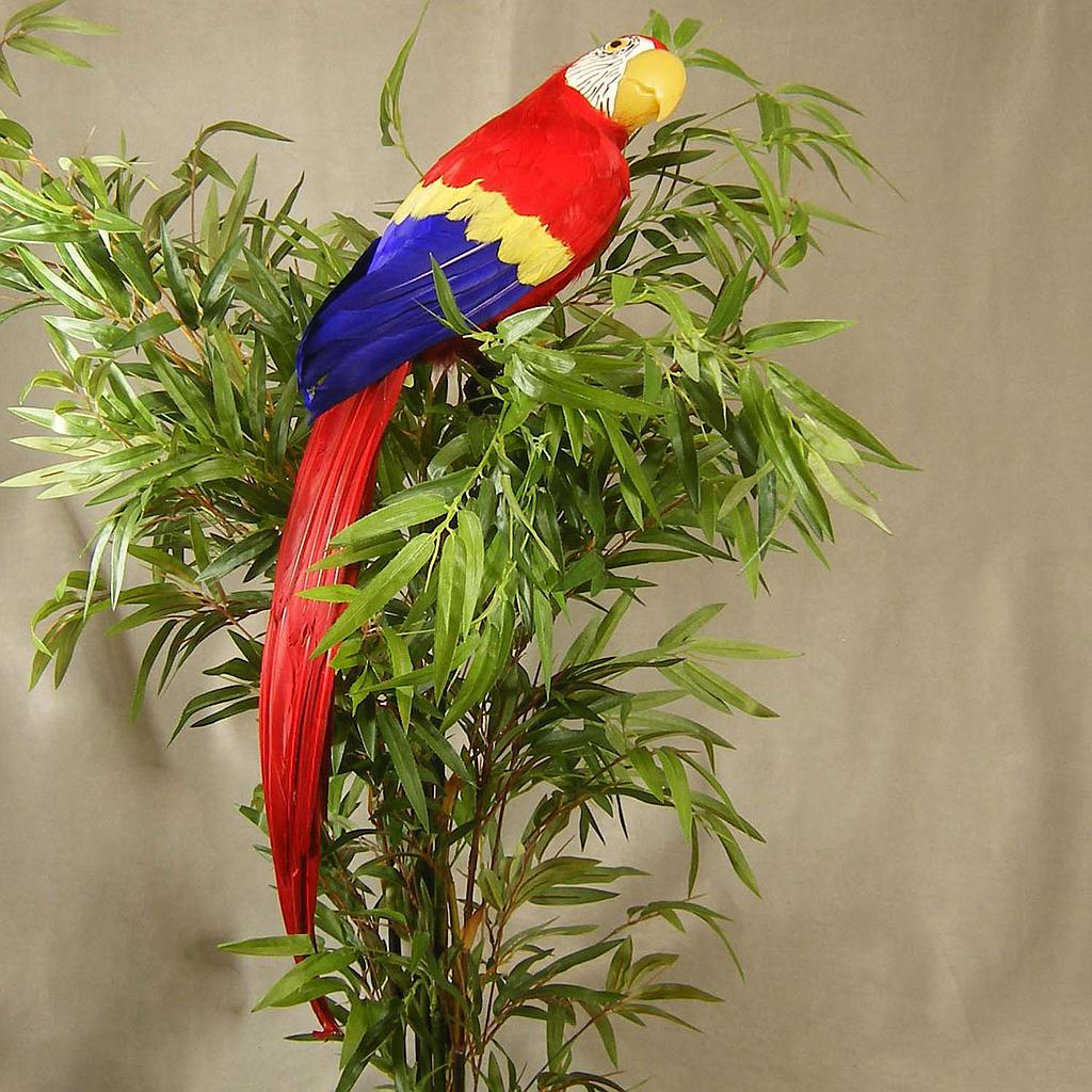 [B285-RED] 28" PARROT RED