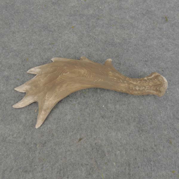 8" ANTLER SET MOOSE WOOD 2/SET BROWN