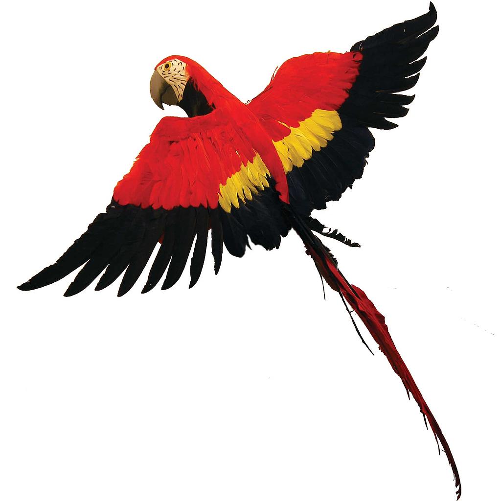 32" PARROT FEATHERED MACAW FLYING